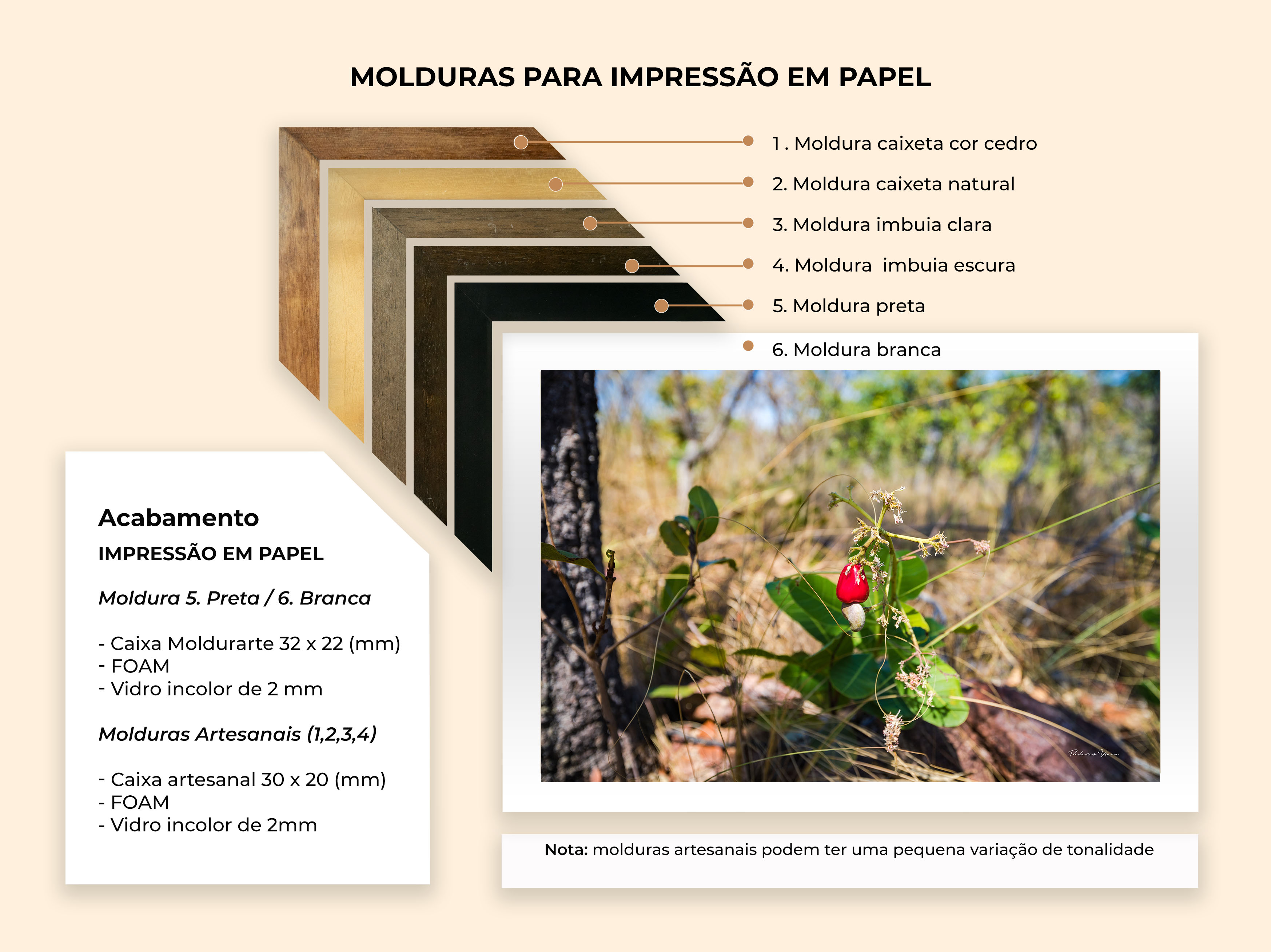 Molduras para Papel Fotogr?ico